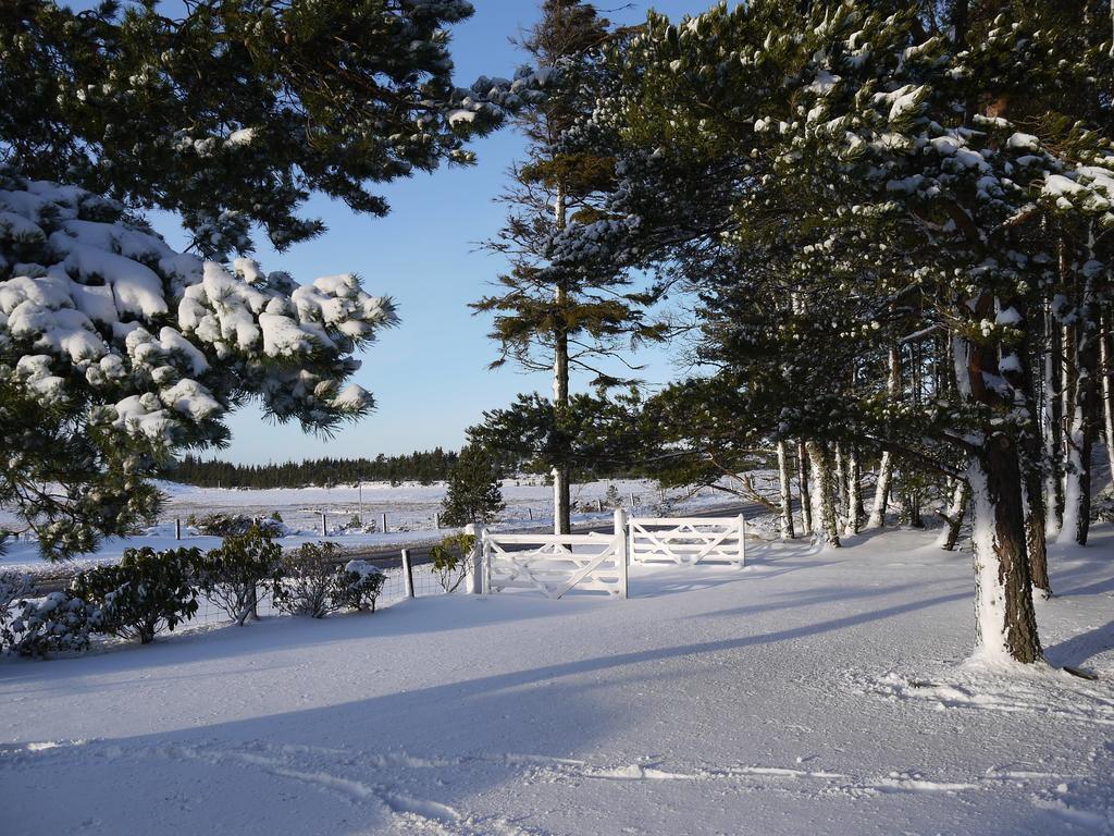Bed and Breakfast Dava School House Grantown-on-Spey Экстерьер фото