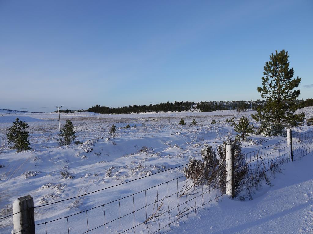 Bed and Breakfast Dava School House Grantown-on-Spey Экстерьер фото